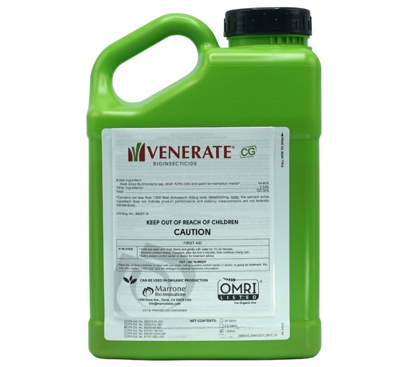 Marrone Bio Innovations Venerate® CG Bioinsecticide