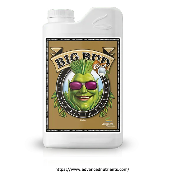 bigbud