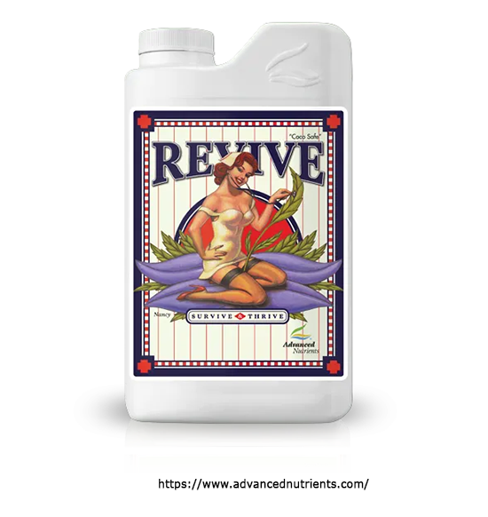 revive