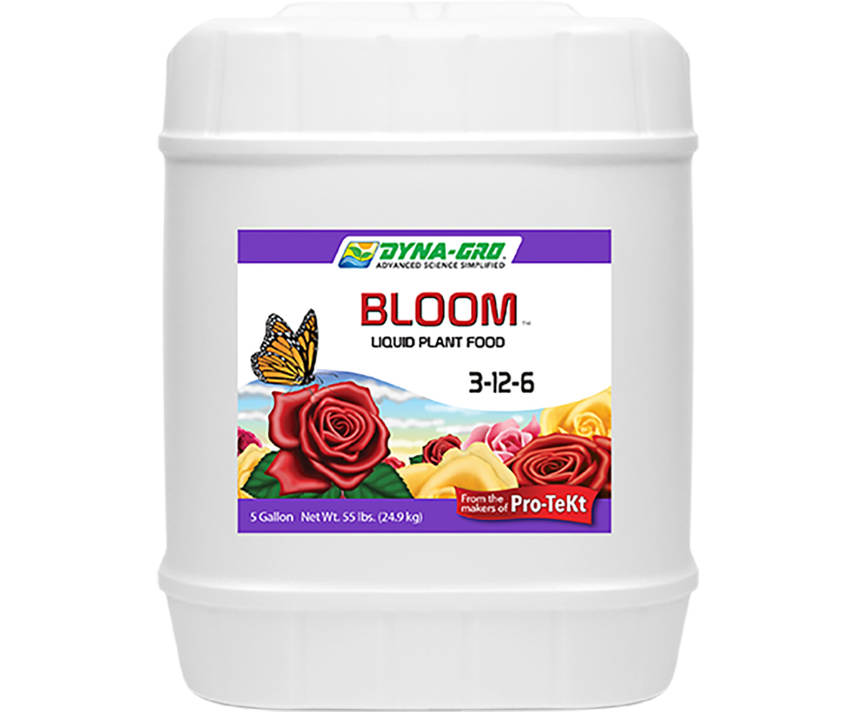 DYBLM500_1