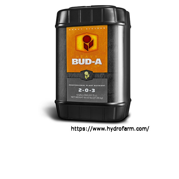 HEAVY 16 Bud A, 6 gal