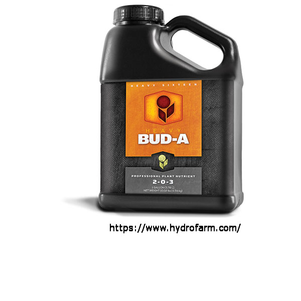 Heavy 16 Bud A Gallon (4L)