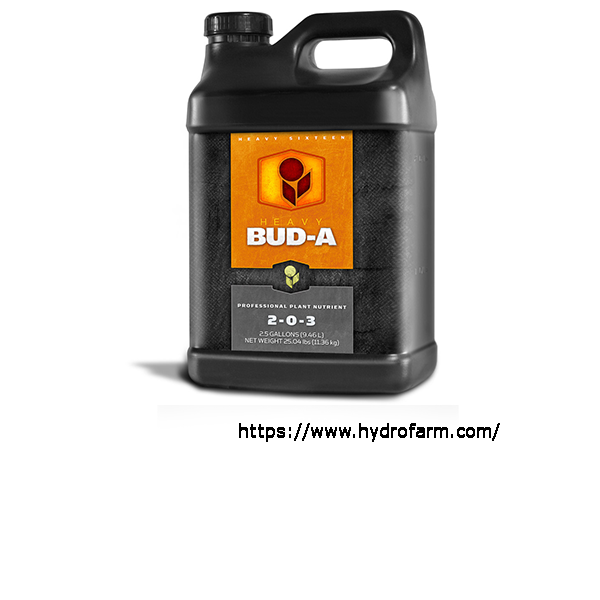 Heavy 16 Bud