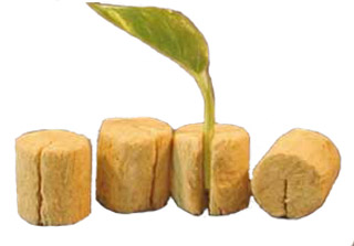 Macroplugs (1.5 Roundx1.57) – Carton